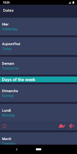 Travel Phrases screenshot 7