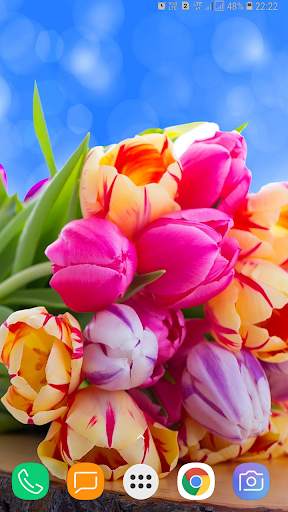 Flower Wallpaper screenshot 12