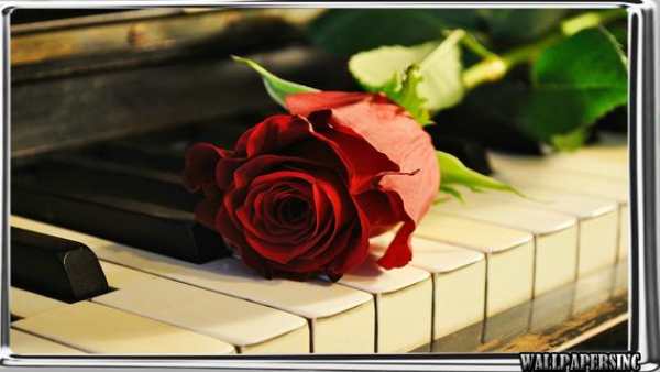 Piano Wallpaper screenshot 2