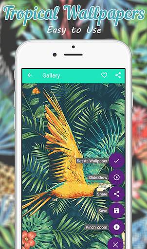 Tropical Wallpaper screenshot 5