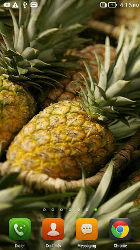 Pineapple Live Wallpaper screenshot 2