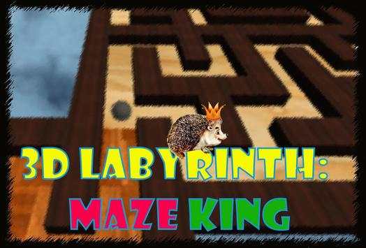 3D Labyrinth: Maze King screenshot 1
