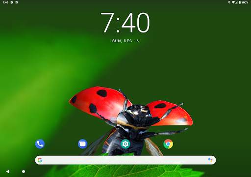 Bugs Life 3D Free - 3D Live Wallpaper screenshot 9