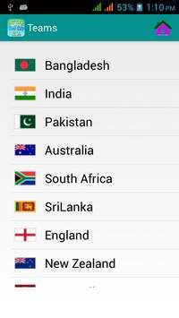 Cricket World Cup T20  16 screenshot 2