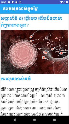 Khmer Pregnancy Mom screenshot 5