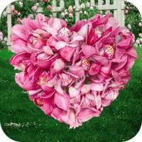 AppLock For Love