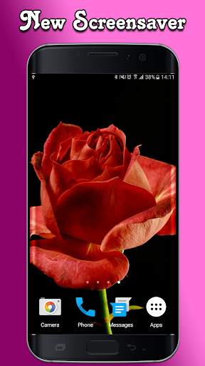 Blooming Roses Video Wallpaper screenshot 3