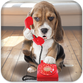 Puppy Call icon