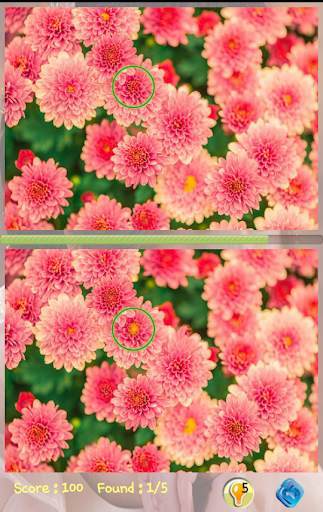 Find Differences Level 21 screenshot 1