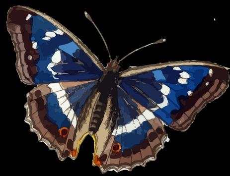 Live insects wallpaper screenshot 4