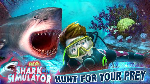 Real Shark Life - Shark Sim screenshot 11