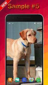 Dog Wallpaper screenshot 5