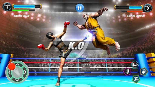 Pro Wrestling Revolution Fight screenshot 8