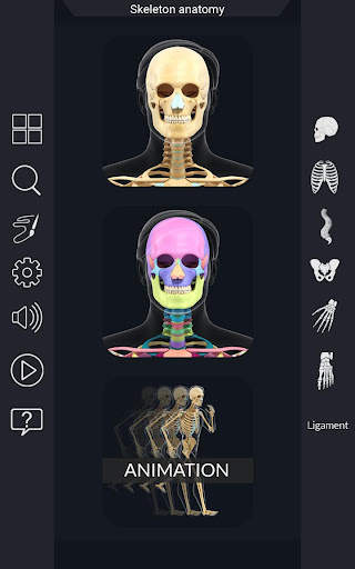 My Skeleton Anatomy screenshot 1