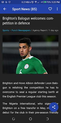 Naija News - Offline screenshot 11