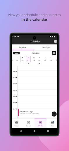 Blackboard Learn screenshot 4