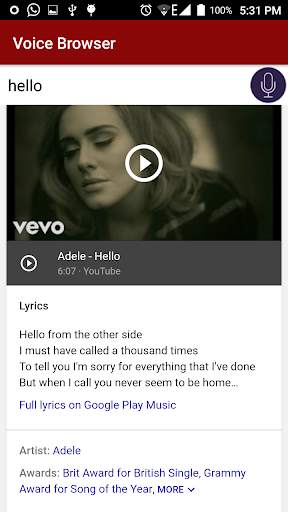 Voice Browser screenshot 3