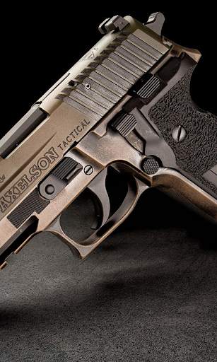 Gun Live Wallpaper screenshot 1