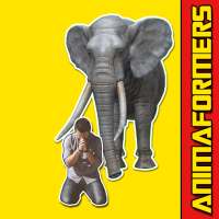 Animaformers Transform Effect - VFX Video Maker