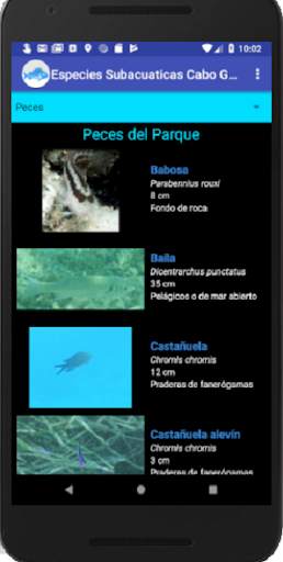 Especies Marinas Cabo de Gata screenshot 1