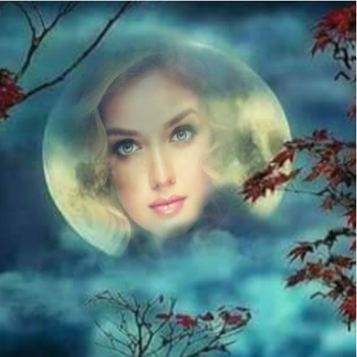 Night Photo Frame icon