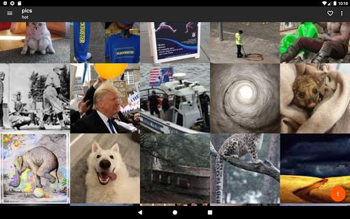Gallery for reddit screenshot 6