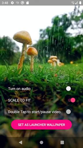 Video Wallpaper screenshot 5