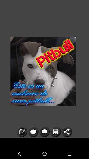 Add Text To Photo screenshot 3