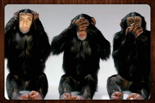 Animal Photo Faces screenshot 6