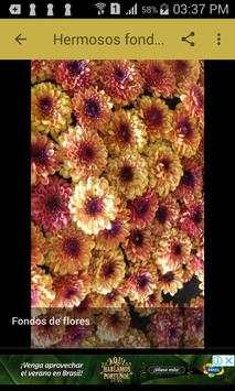 Fondos de flores screenshot 2