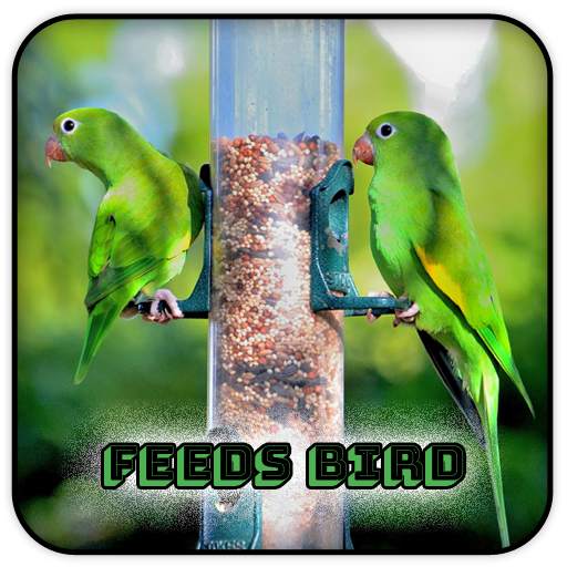 Feeds Bird 1.0