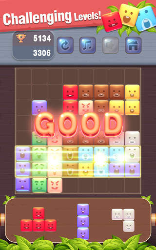Block puzzle Piraten Odyssee screenshot 4