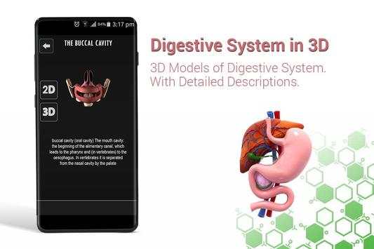 Human digestive system anatomy in 3D screenshot 1