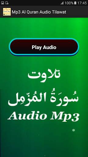 Mp3 Al Quran Audio Tilawat App screenshot 11