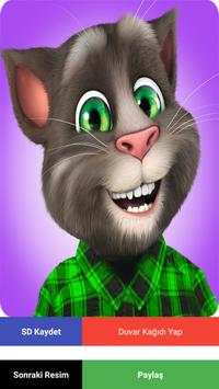 My Talking Tom Wallpapers Free screenshot 3