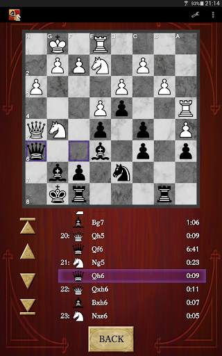 Chess screenshot 19