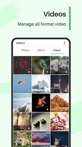 Gallery - Photo, Album & Video Player screenshot 3