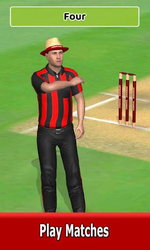 Cricket World Domination скриншот 11