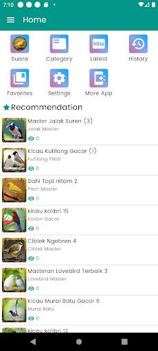 Suara Burung Kenari Gacor screenshot 1
