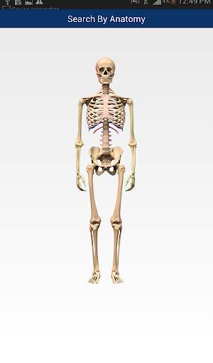 MSK RADIOLOGY 4 U screenshot 8