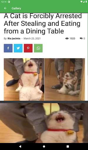 Imgur Browser screenshot 7