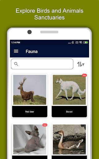 Volgograd Travel & Explore, Offline City Guide screenshot 13