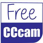 Daily CCcam Free