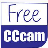 Daily CCcam Free 1.0