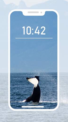 Orca Wallpapers screenshot 6
