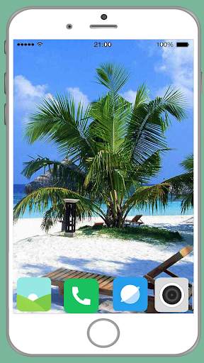 Palm Tree Full HD Wallpaper screenshot 15