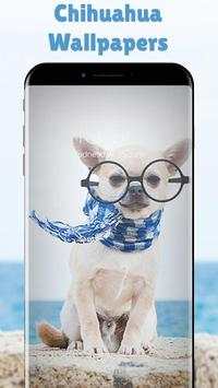 cute chihuahua screenshot 4