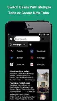 Web Browser screenshot 4