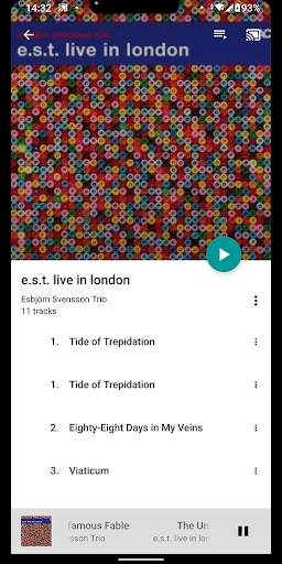 TwoPlayer 3.0 (Trial Version) Network Media Player screenshot 3