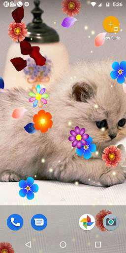 Water Touch - Cute Cat Live Wallpaper screenshot 2